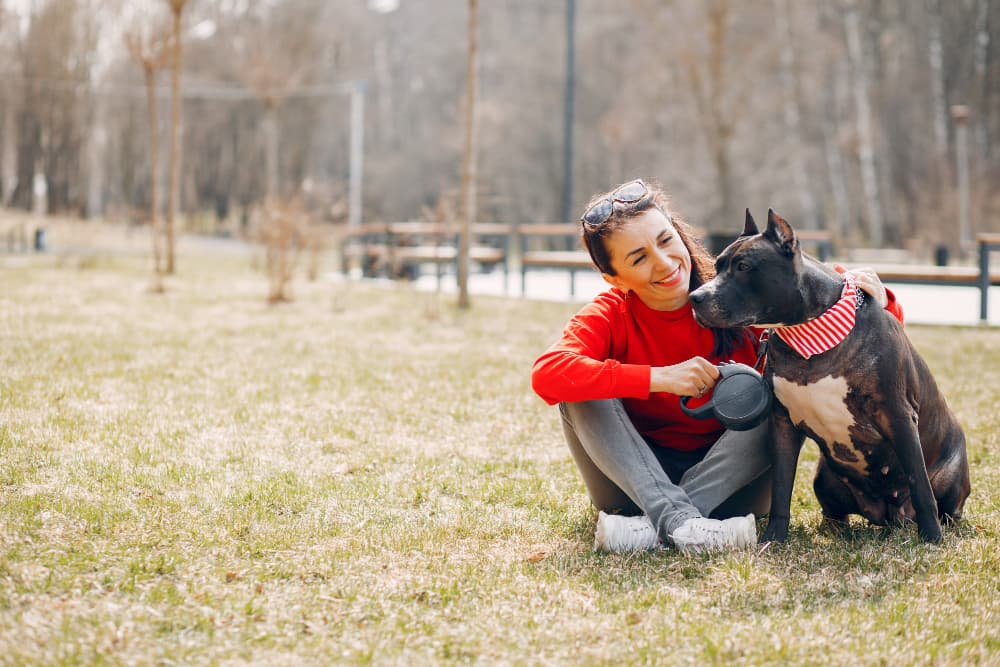 Behavior veterinary care