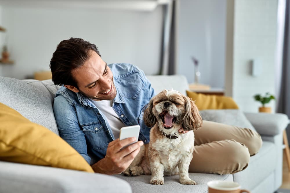Pet parent caring for their dog at home